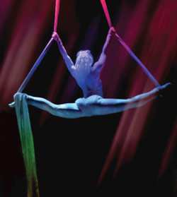Silks artist